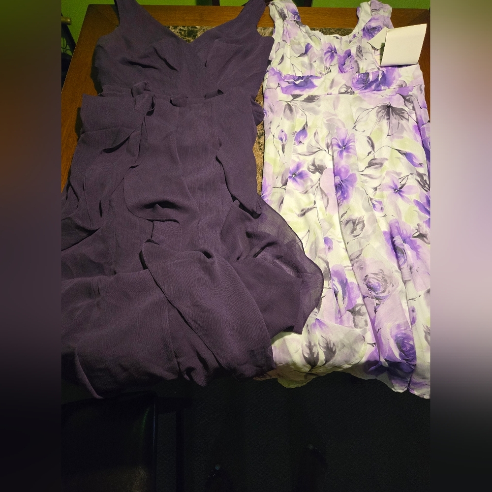 2 Dresses 1 Vera Wang & 1 Connection